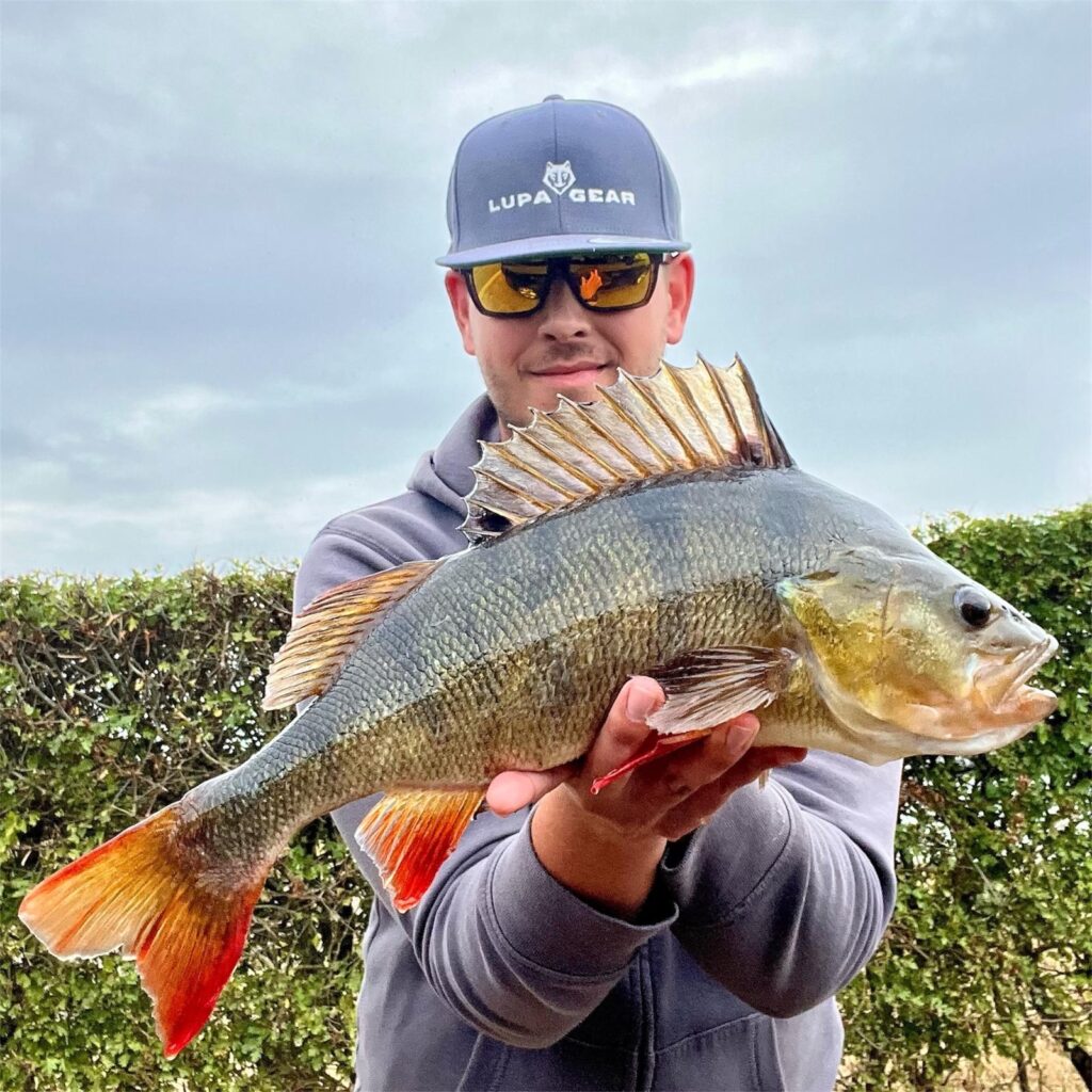 Lupa Gear Teamlid Robin